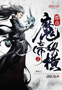 《都市之魔帝纵横》小说封面
