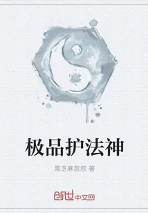《极品护法神》小说封面