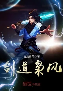 《剑道枭风》小说封面