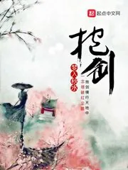 《抱剑》小说封面