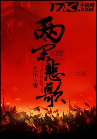 《血宋》小说封面