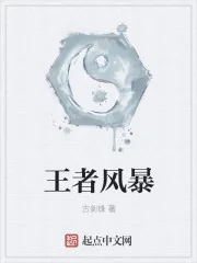《王者风暴》小说封面