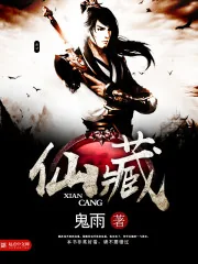 《仙藏》小说封面