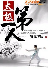 《太极第一人》小说封面