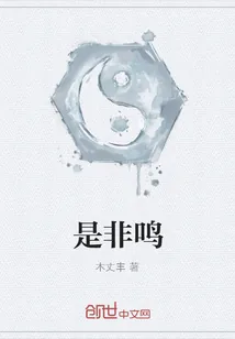 《是非鸣》小说封面