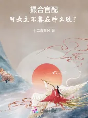 《撮合官配，可女主不答应肿么破？》小说封面
