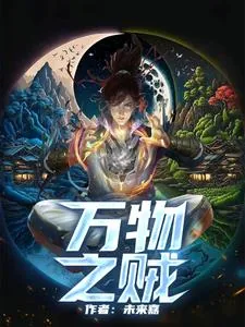 《万物之贼》小说封面