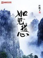 《如见道心》小说封面