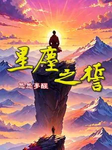《星尘之誓》小说封面