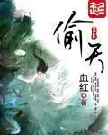 《偷天》小说封面