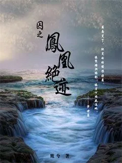 《囚之凤凰绝迹》小说封面