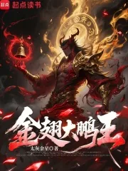 《金翅大鹏王》小说封面