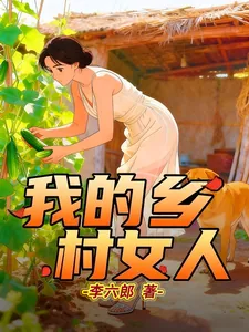 《我的乡村女人》小说封面