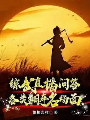 《综武问答：赵敏强吻，黄蓉送肚兜》小说封面