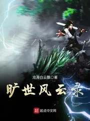 《旷世风云录》小说封面