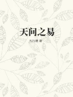 《天问之易》小说封面