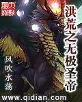 《洪荒之无极圣帝》小说封面