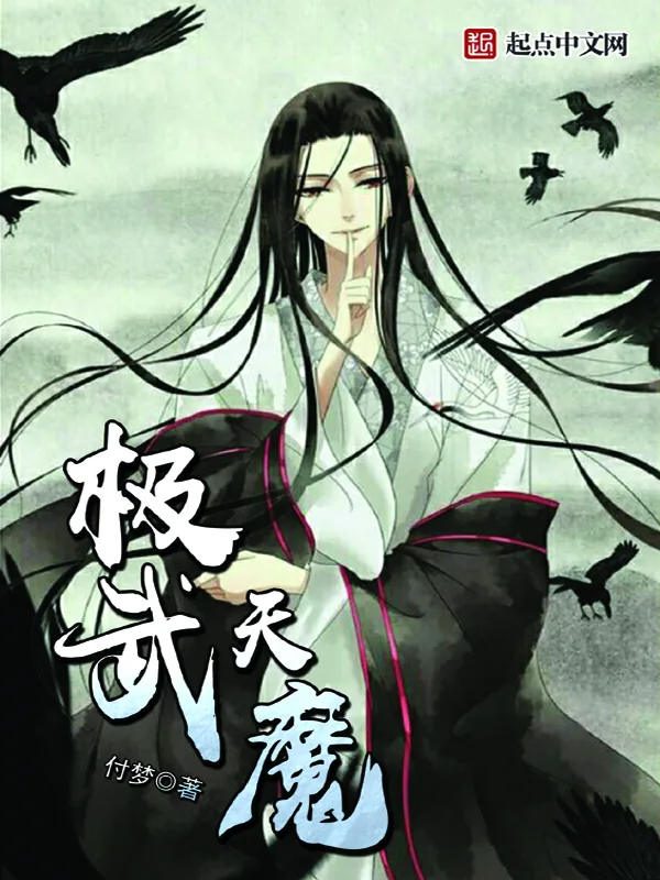 《极武天魔》小说封面