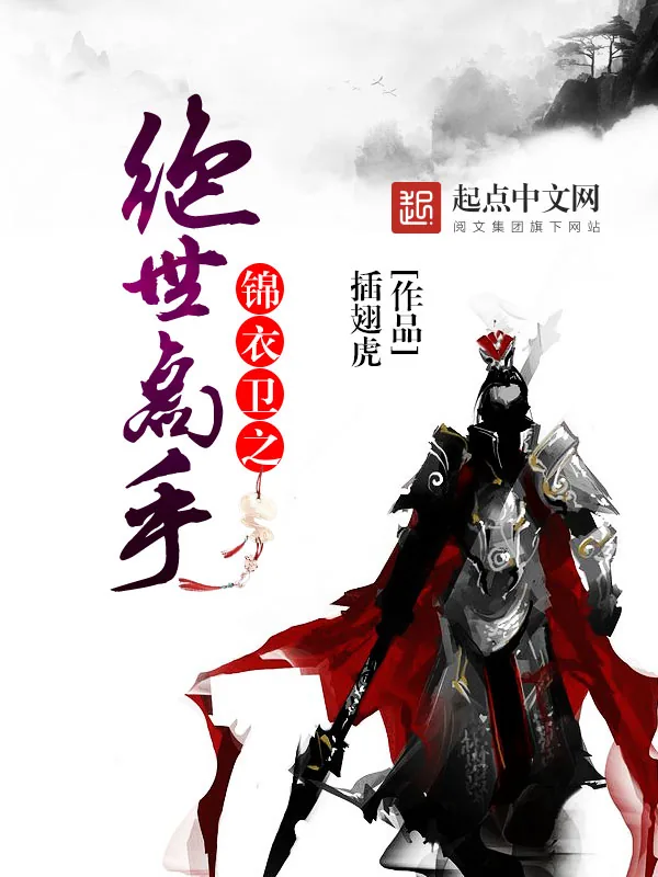 《锦衣卫之绝世高手》小说封面