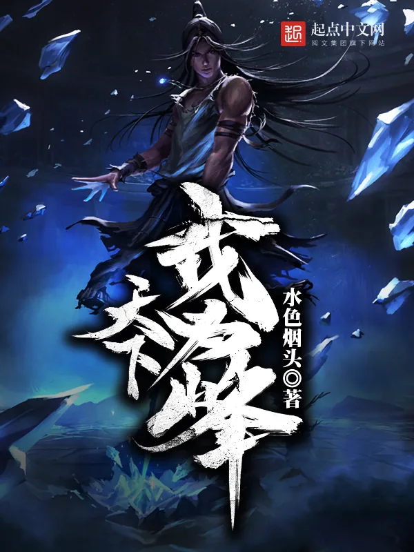 《天下我为峰》小说封面