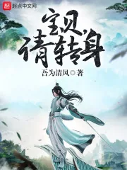 《宝贝，请转身》小说封面