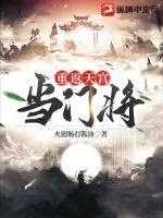 《重返天宫当门将》小说封面
