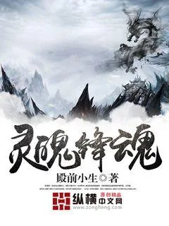 《灵魄锋魂》小说封面