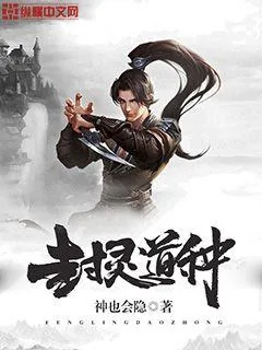 《封灵道种》小说封面