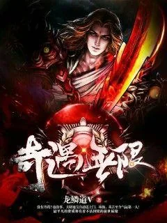 《奇遇无限》小说封面