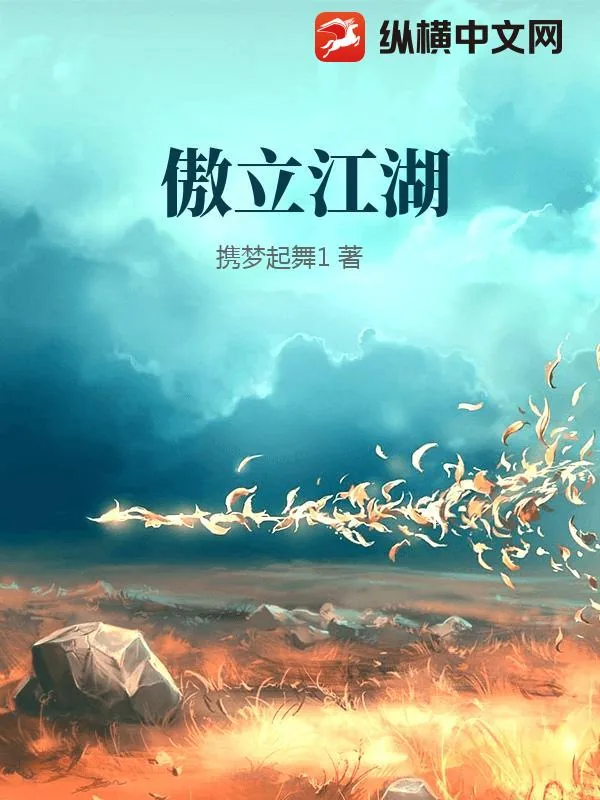 《傲立江湖》小说封面