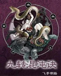 《九转混沌诀》小说封面