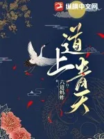《道上青天》小说封面