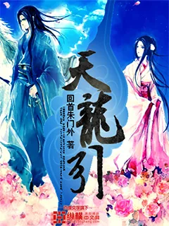 《天龙引》小说封面