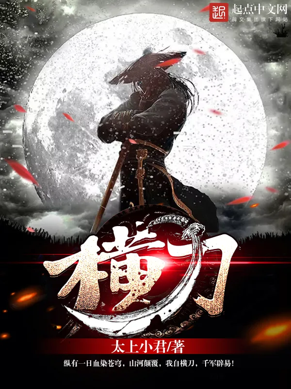 《横刀》小说封面