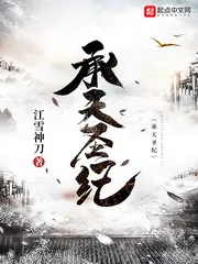 《承天圣纪》小说封面