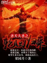 《齐天大圣之轮回归来》小说封面