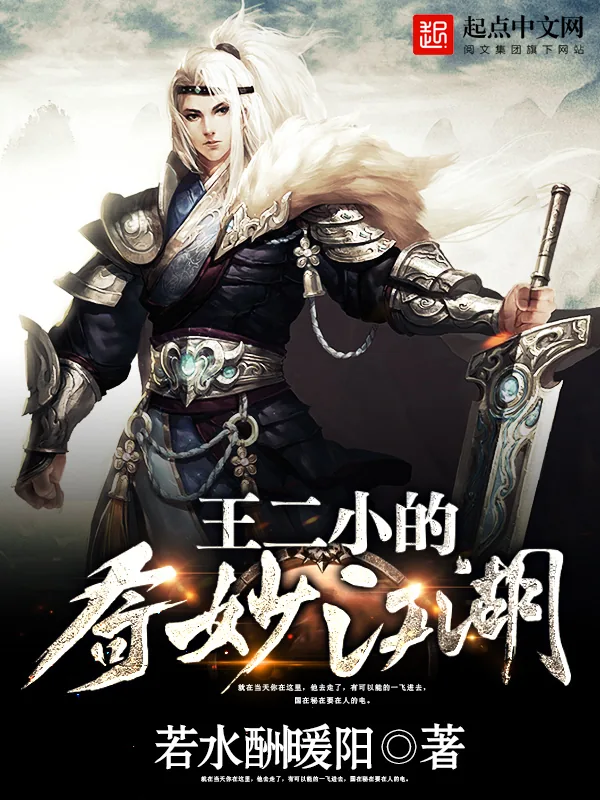 《王二小的奇妙江湖》小说封面