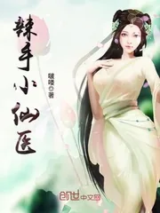 《辣手小仙医》小说封面