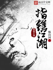 《指镌江湖》小说封面