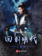 《回到明代之覆明》小说封面