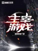 《主宰游戏》小说封面