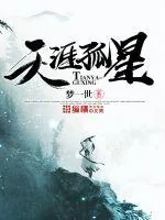 《天涯孤星》小说封面