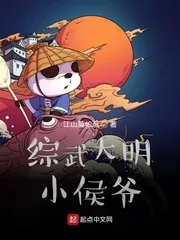 《综武大明小侯爷》小说封面