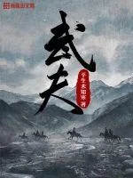 《武夫》小说封面