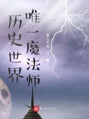 《历史世界唯一魔法师》小说封面