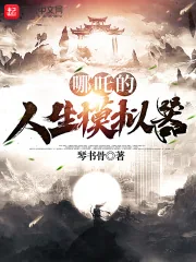 《哪吒的人生模拟器》小说封面