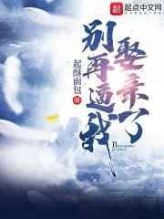 《别再逼我娶亲了》小说封面