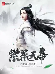 《紫薇天帝》小说封面