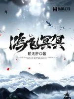 《鸿飞冥冥》小说封面