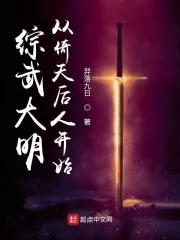 《综武大明，从倚天后人开始》小说封面